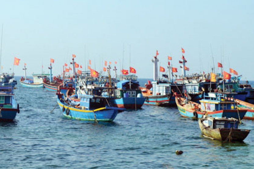 Đề xuất sửa đổi quy định xử phạt VPHC trong lĩnh vực thủy sản
